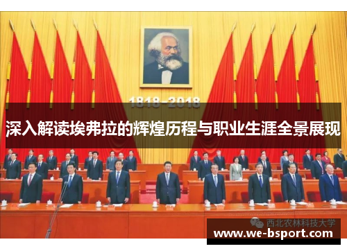 深入解读埃弗拉的辉煌历程与职业生涯全景展现