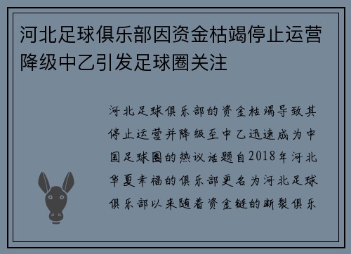 河北足球俱乐部因资金枯竭停止运营降级中乙引发足球圈关注 河北足球俱乐部因资金枯竭停止运营降级中乙引发足球圈关注